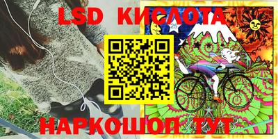 шишки Славянск-на-Кубани