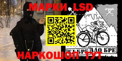 apvp Славгород