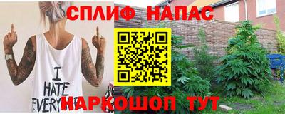 apvp Славгород