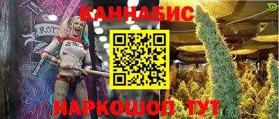 apvp Славгород