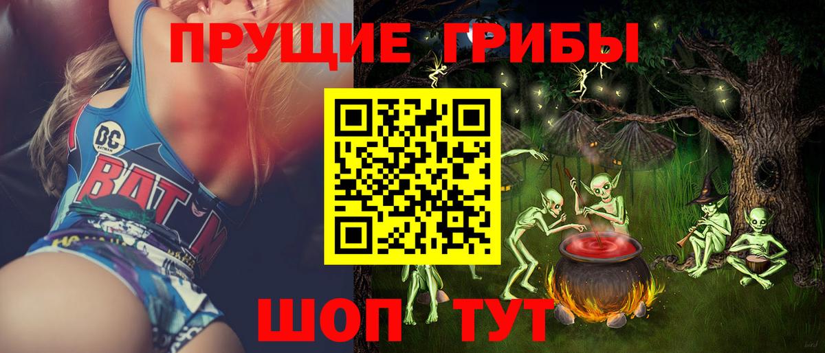 Галлюциногенные грибы Psilocybe Новороссийск