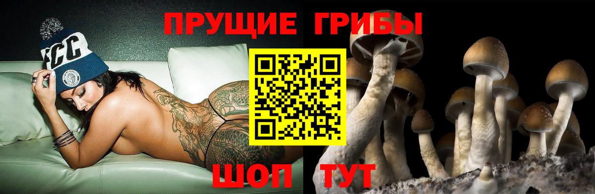 Псилоцибиновые грибы мицелий  Вход с VPN  купить закладку  Новороссийск 